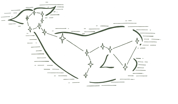 constellation